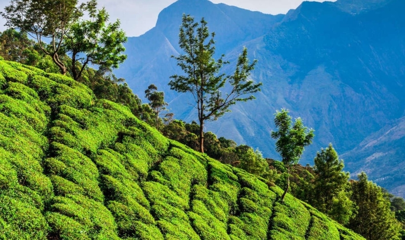 Kerala Nature Trail 2