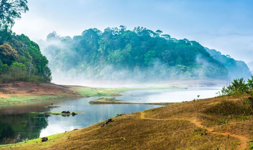 Kerala Nature Trail 4
