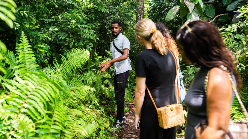 Zanzibar's Cultural & Natural Wonders: Stone Town & Jozani Forest 2