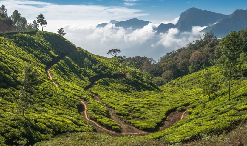 Himalayan Panorama Trails 2