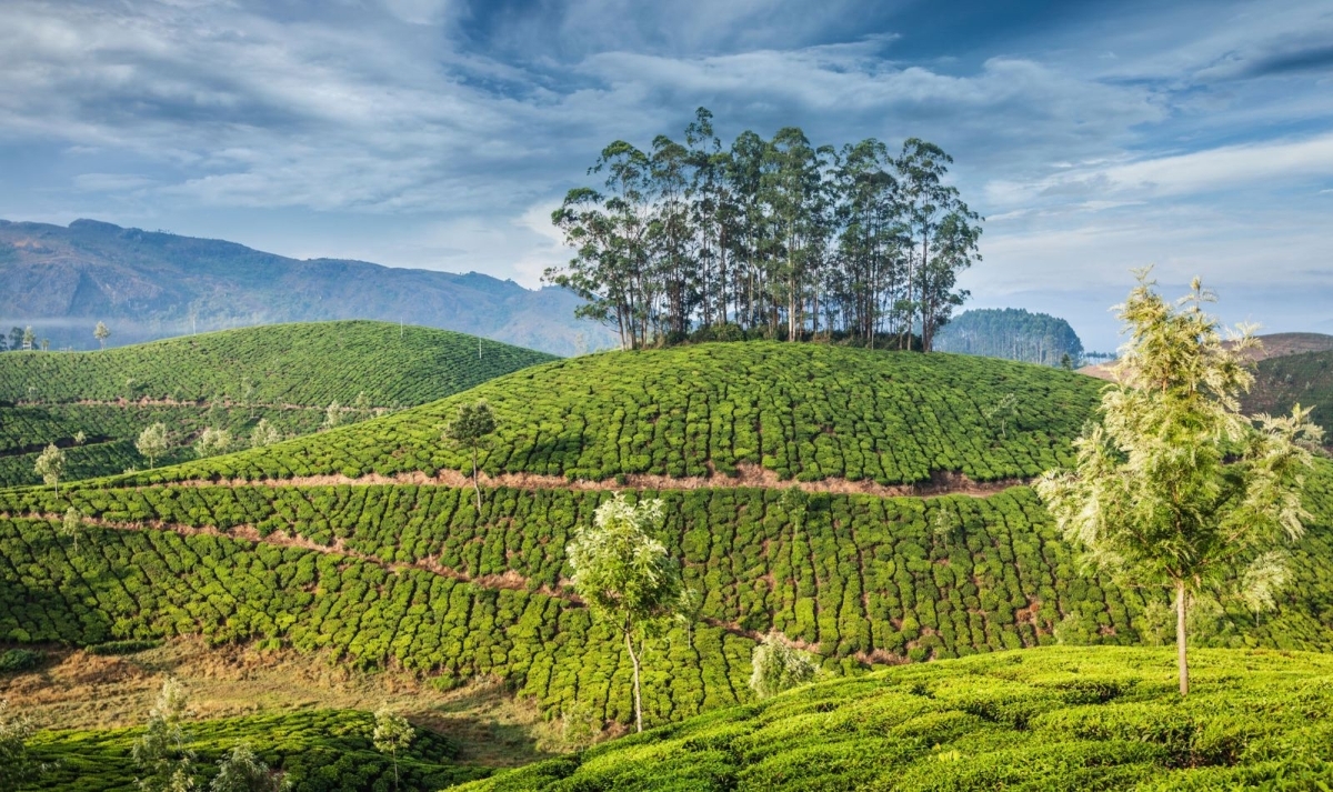 Kerala Amazing Trails 1