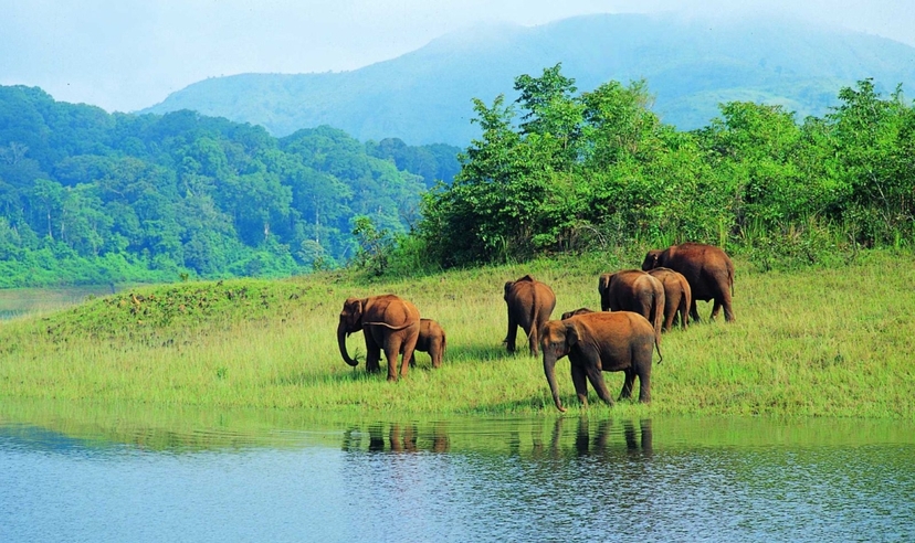 Kerala Amazing Trails 2