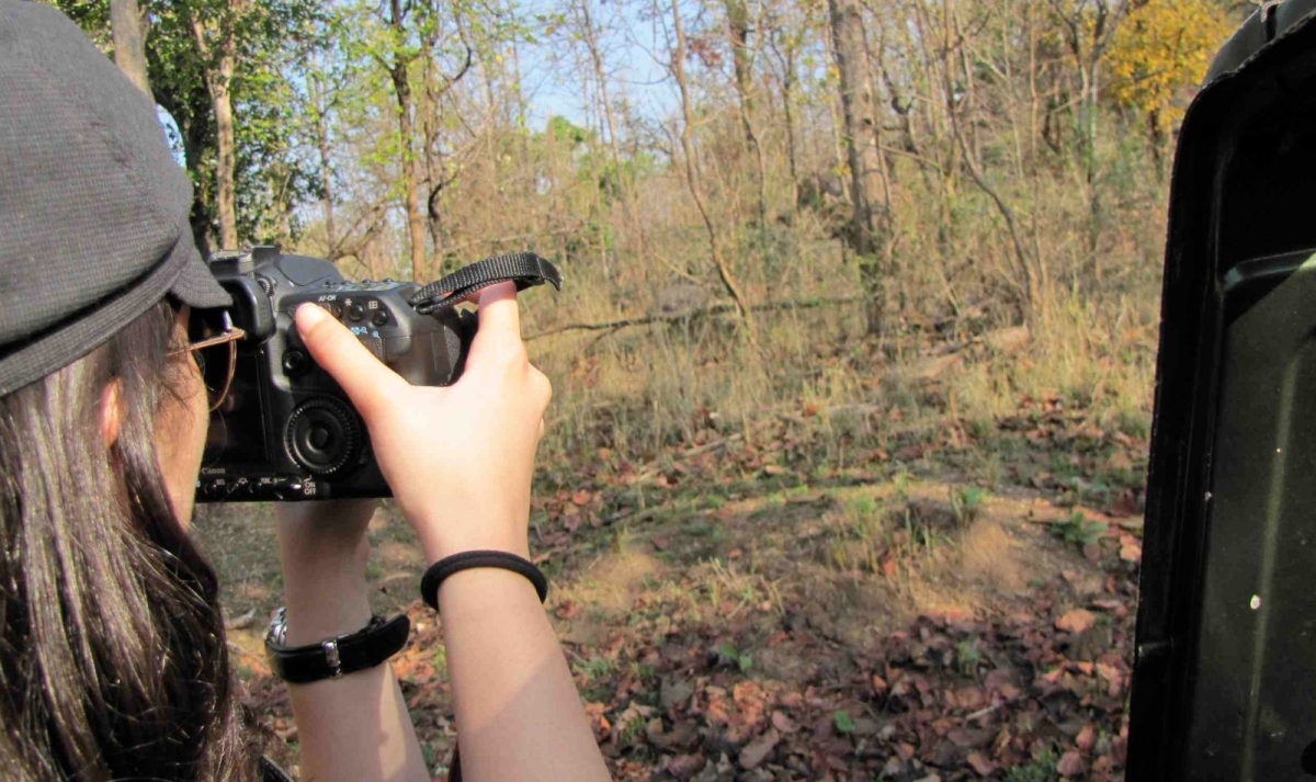 Kanha, Pench and Satpura Tiger Trails 1