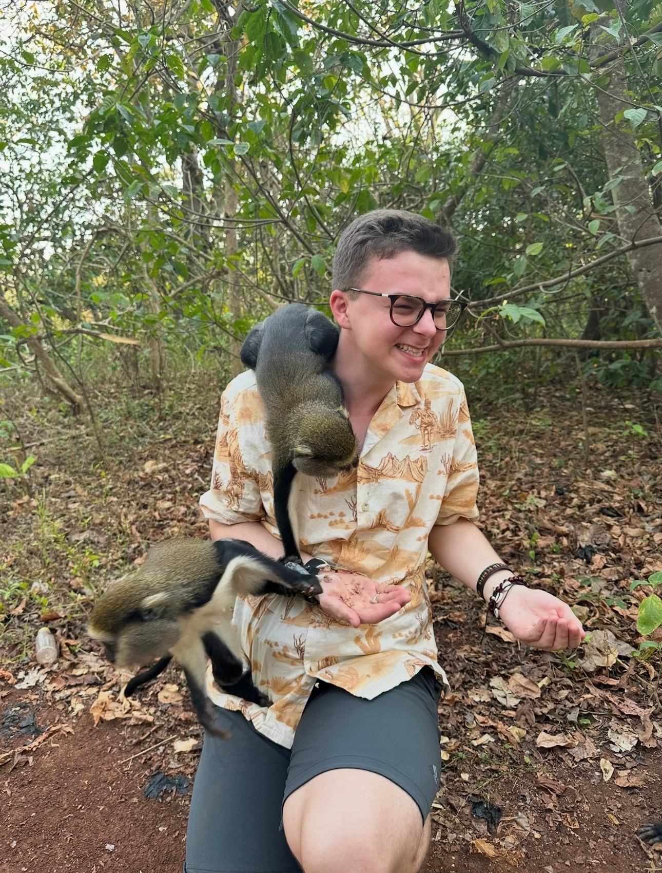 Visiting Boabeng-Fiema Monkey Sanctuary: A Unique Wildlife Experience in Ghana