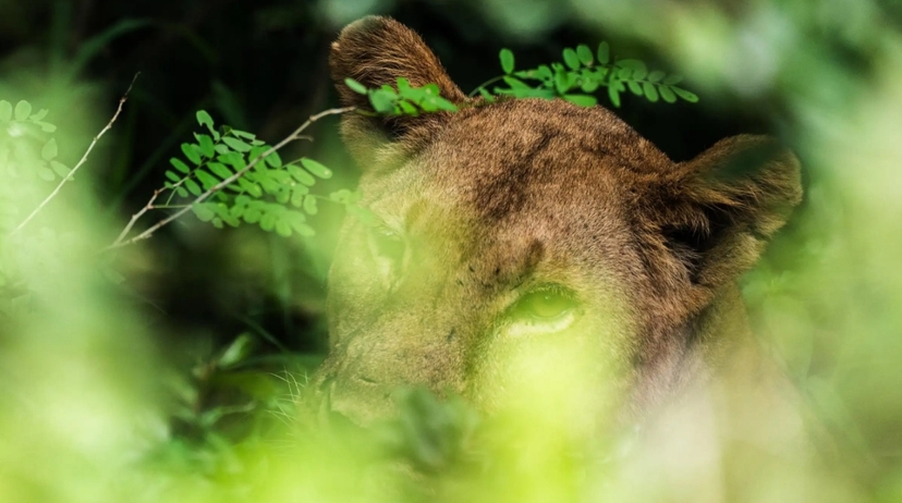 4 Days Selous Safari & Hot Springs Adventure from Zanzibar 4
