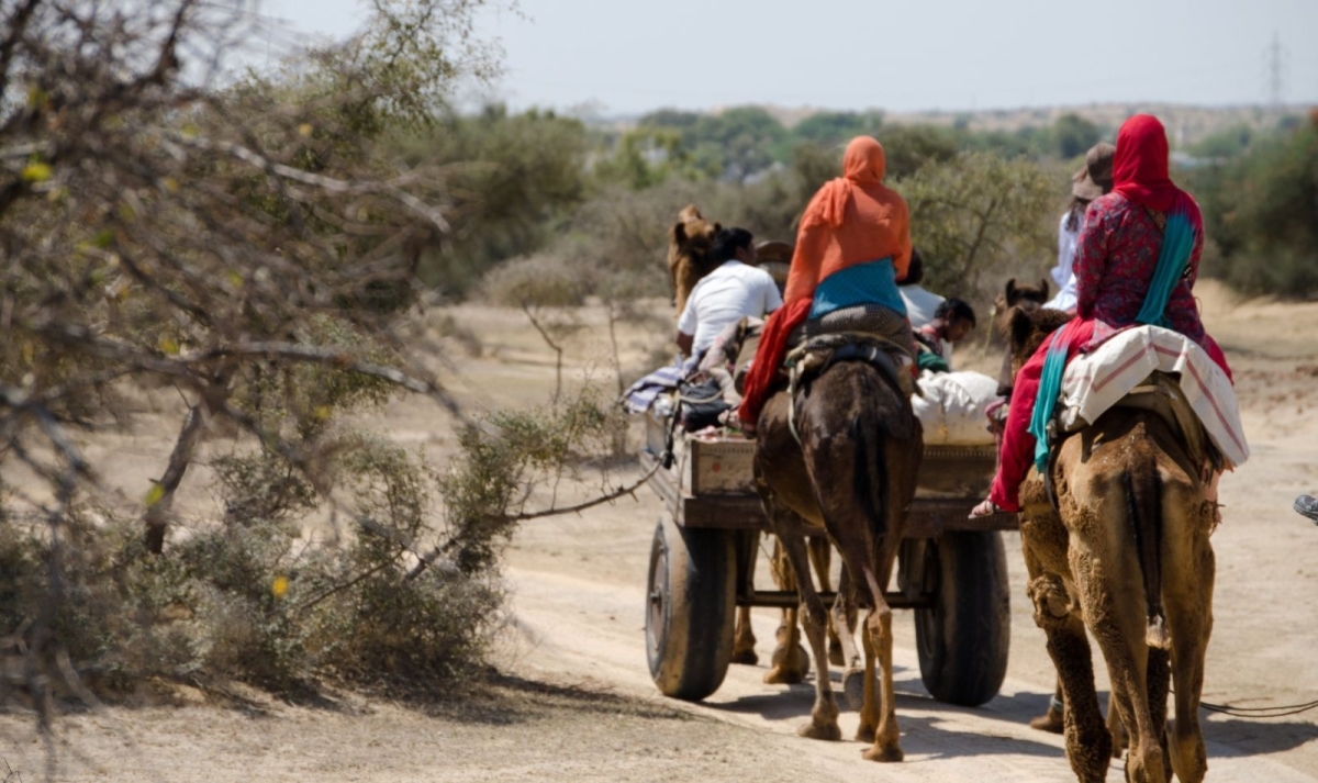 Rajasthan Panorama Trails 1