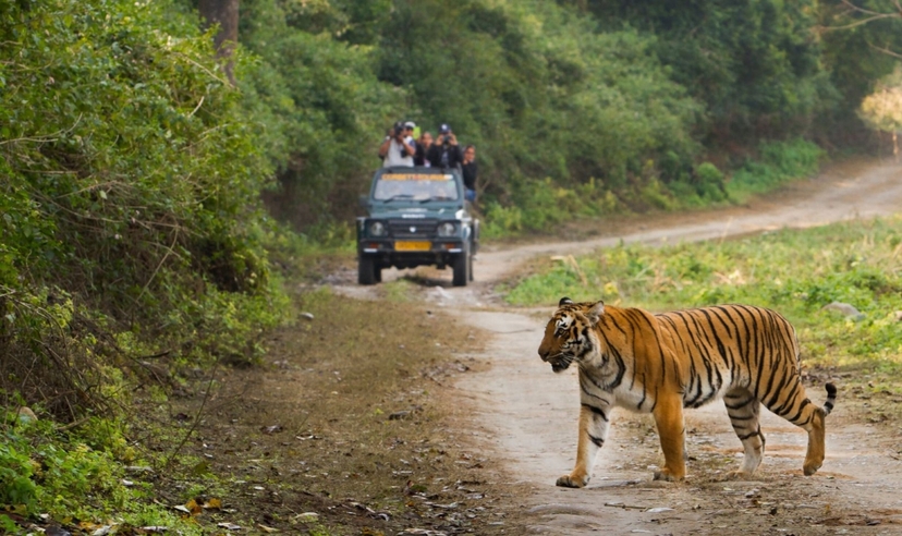 North India Heritage and Wildlife Trails 3