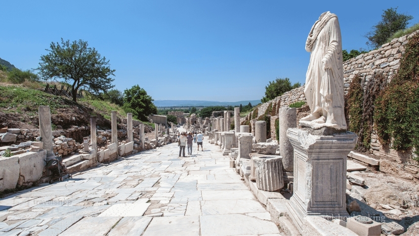 Half-Day Ephesus Ancient City Tour from Selçuk | Temple of Artemis & UNESCO Heritage 4