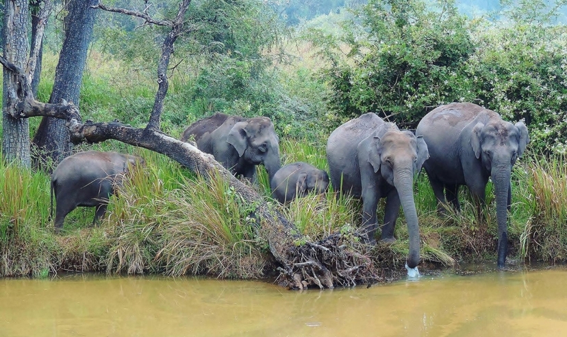 Karnataka Wonders with Goa Trails 2