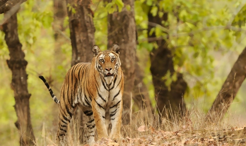 Treasures of Rajasthan Trails 3