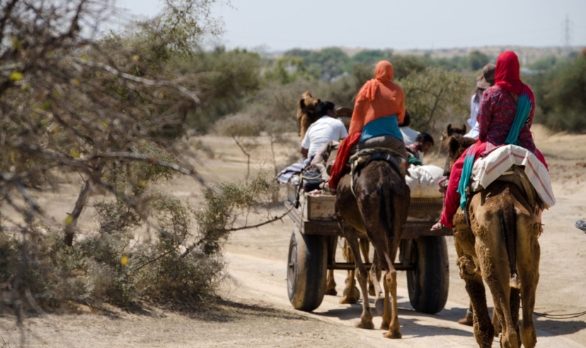 Rajasthan Timeless Trails 2