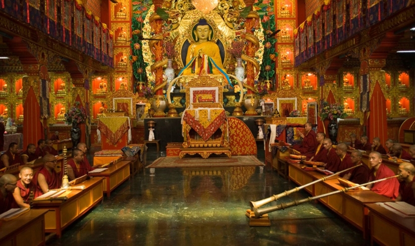 India Temples & Tiger Trails 4