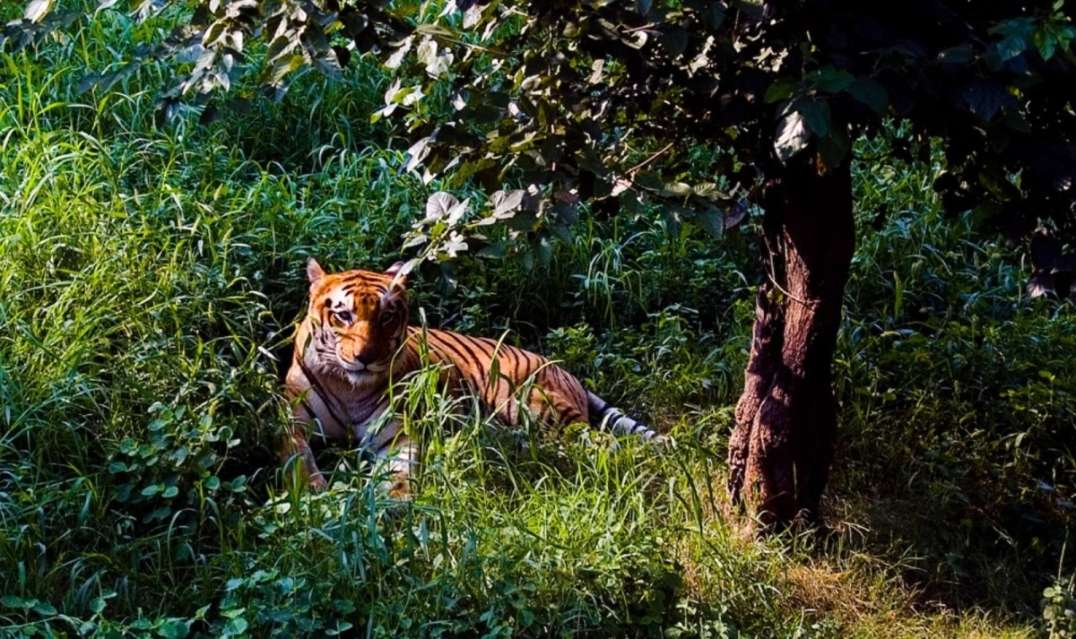 22-Day Golden Triangle & Spiritual North India Expedition 1