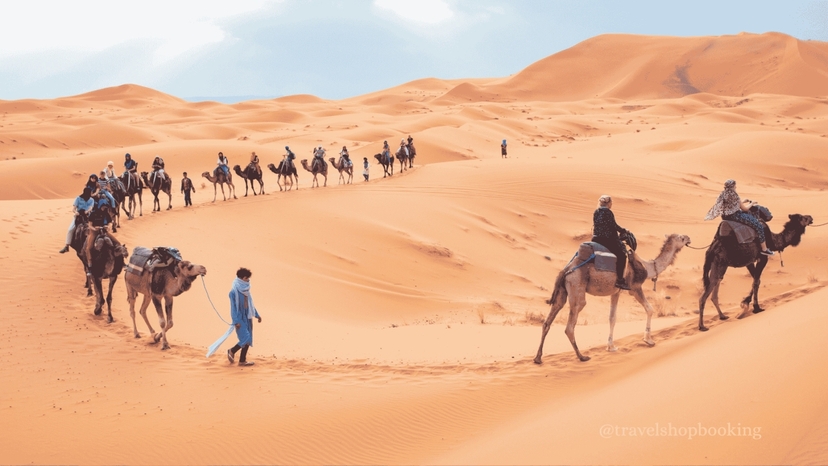 4 Days Siwa Oasis Desert Safari from Cairo | El Alamein, Great Sand Sea & Bedouin Camp 3
