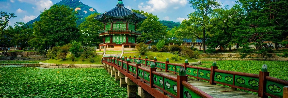 Best Time to Visit South Korea