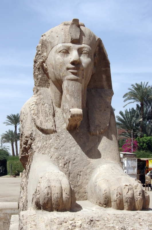 19 Days Cairo, Desert Safari to Luxor, Nile Cruise, Hurghada & Alexandria 4