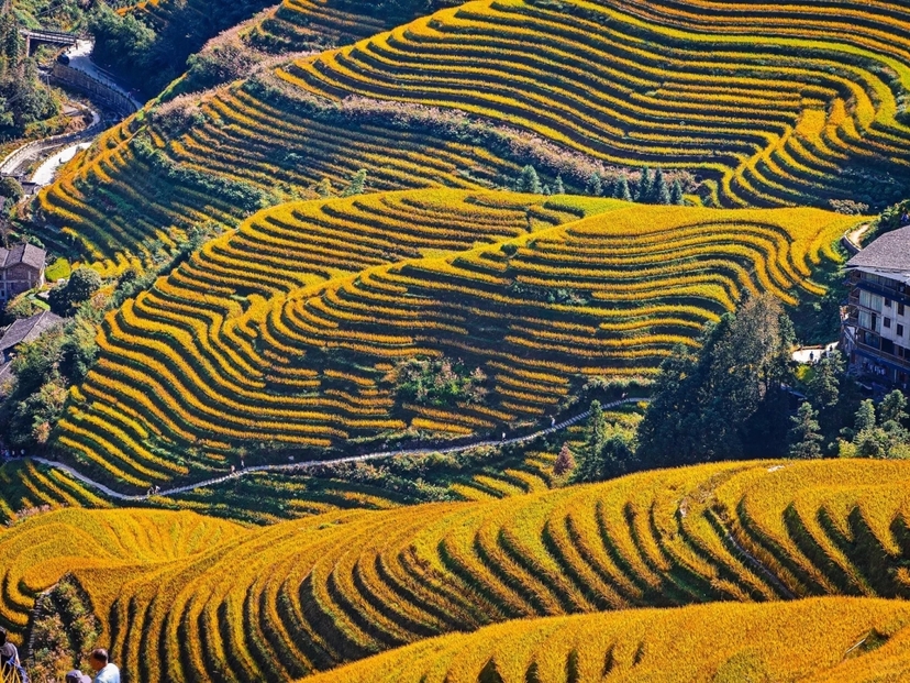 Private Day Tour to Longji Rice Terraces with Cable Car from Guilin 2
