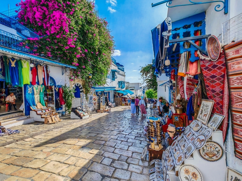 4 Days Tunis Discovery Tour – Carthage, Sidi Bou Said, Bardo Museum & Tunis Medina 4