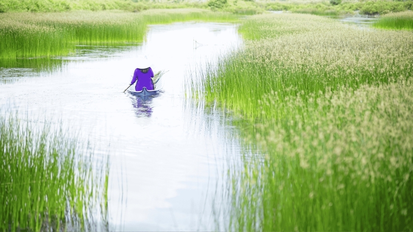 2-Day Mekong Delta & Cai Rang Floating Market Tour from Ho Chi Minh City 4