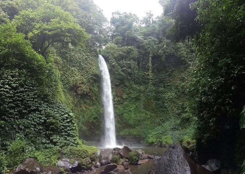 Bali Ubud Kintamani Exciting Day Tour 2