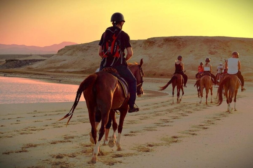 Horse Riding Adventure in Hurghada 3