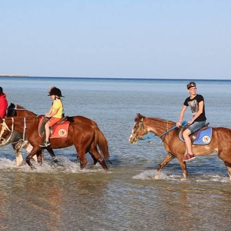 Horse Riding Adventure in Hurghada 4