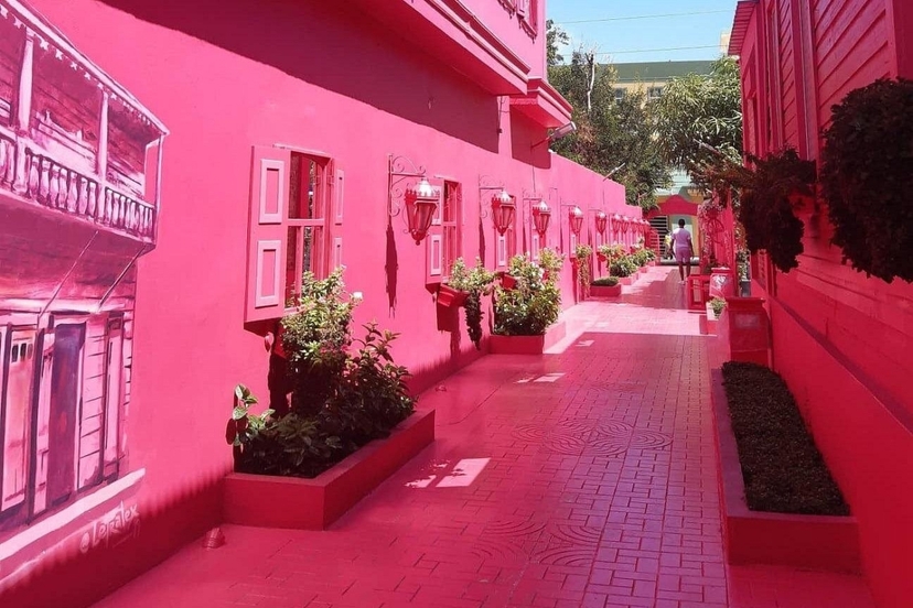 Puerto Plata City Tour & Monkey home Adventure 3