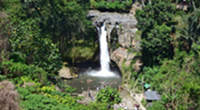Bali Ubud Day Tour 2