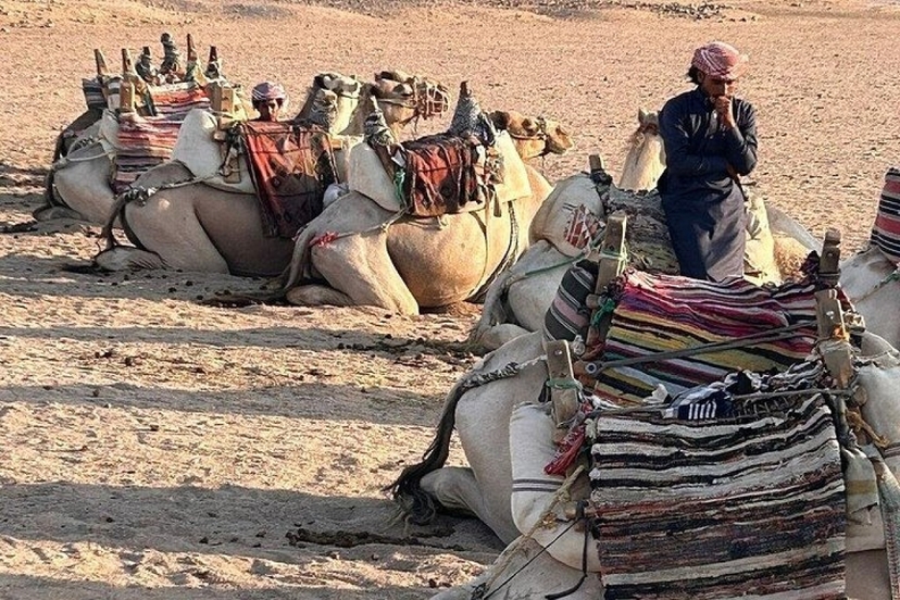 Desert Safari Half-Day Private Cultural Experience 3