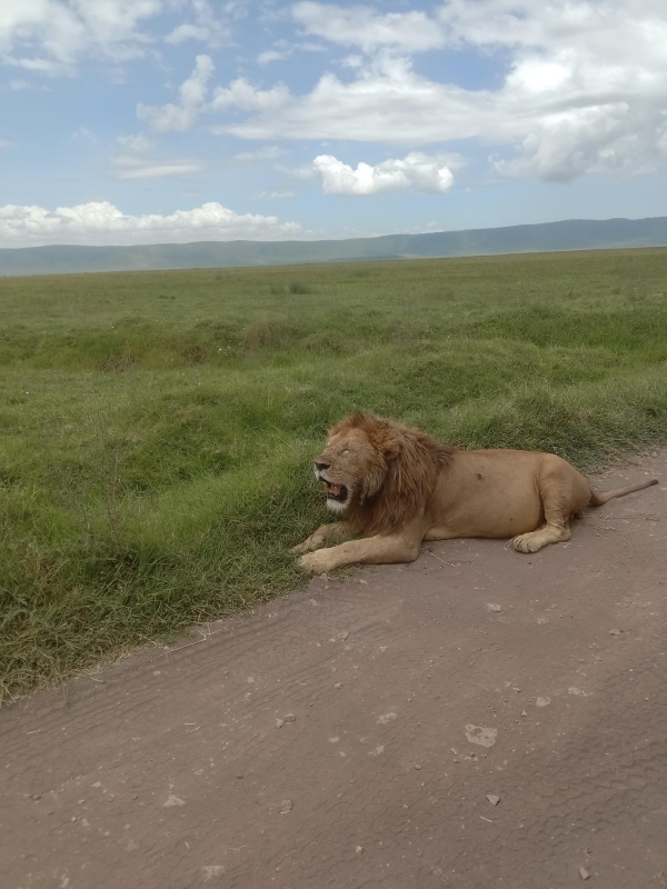 2 Day Luxury Safari: Tarangire & Ngorongoro Crater 2