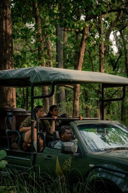 5-Day Exclusive Bardiya Wilderness & Tiger Corridor Safari 2