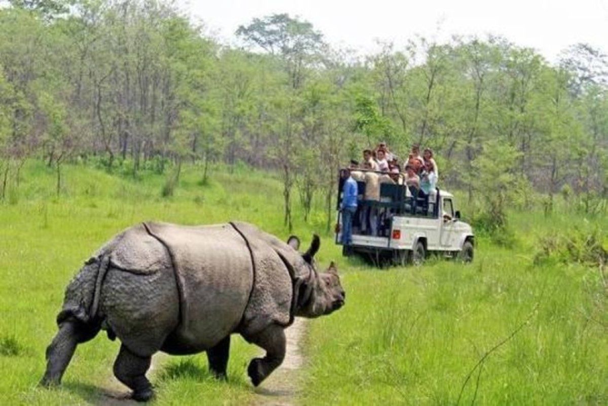 1-Day Chitwan Safari Tour from Kathmandu by Flight 1