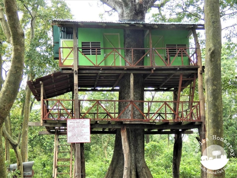 Bardia After Dark: Overnight Wilderness Experience 2