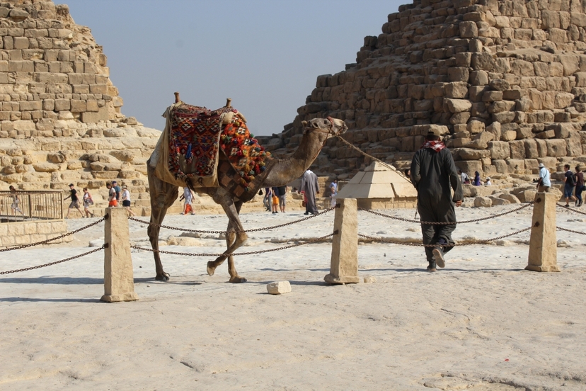 7 Days Best of Egypt Tour | Cairo, Alexandria, Aswan & Luxor 2