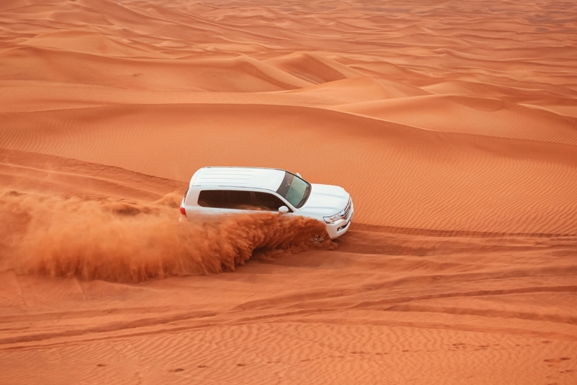 Experience Morning Desert Safari Dubai 2