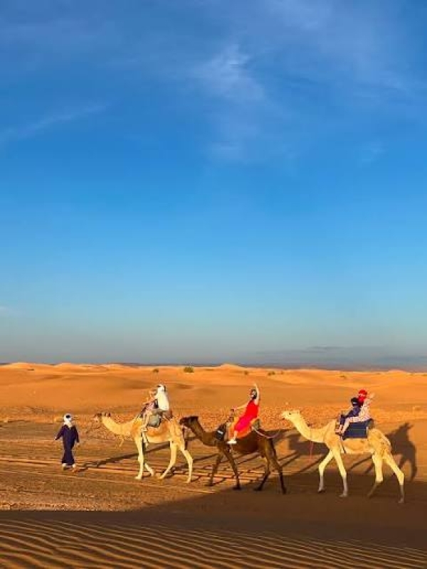 12 Day Morocco Grand Tour: Imperial Cities, Sahara Desert & Atlantic Coast 3