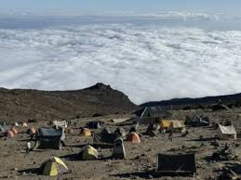 7 Day Kilimanjaro Lemosho Route Trek: Uhuru Peak Group Climb 3