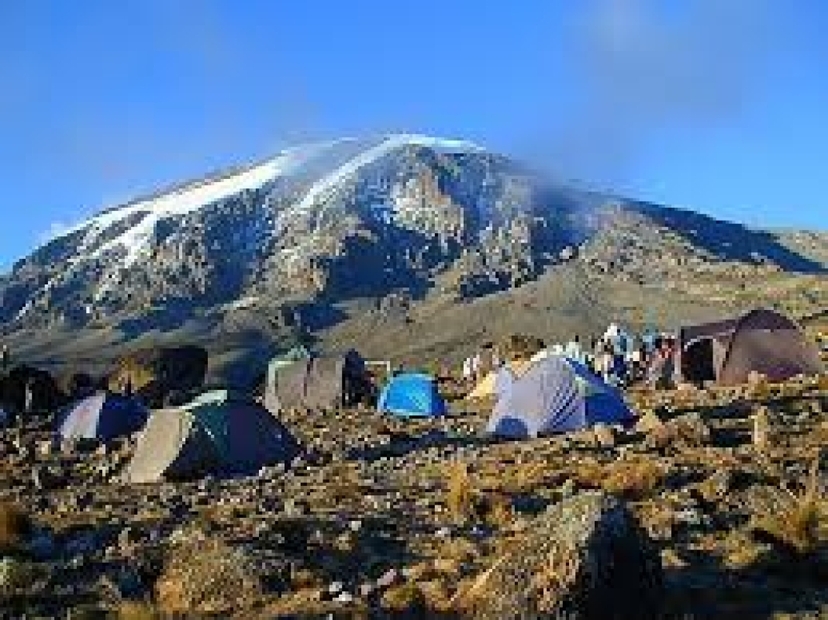 7 Day Kilimanjaro Lemosho Route Trek: Uhuru Peak Group Climb 4