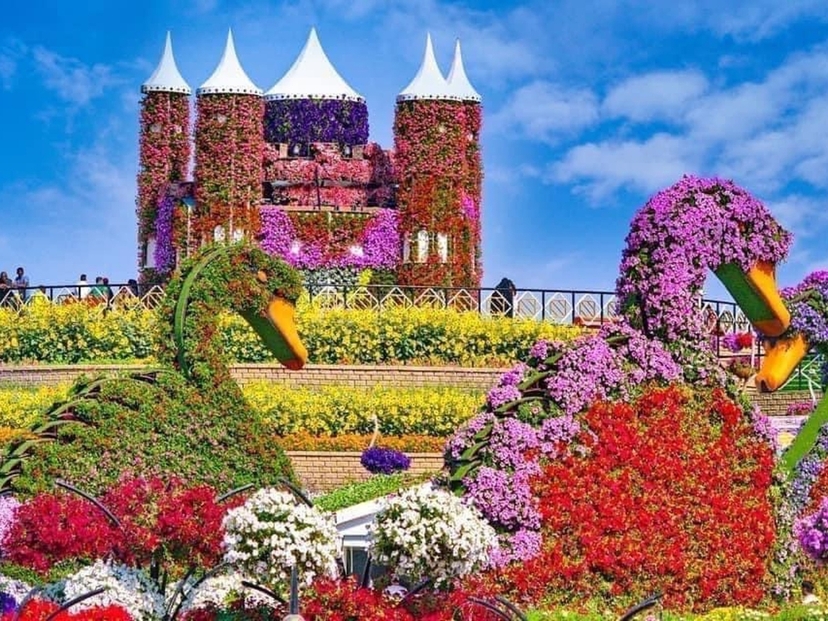 Private Dubai Tour: Miracle Garden & Global Village 3