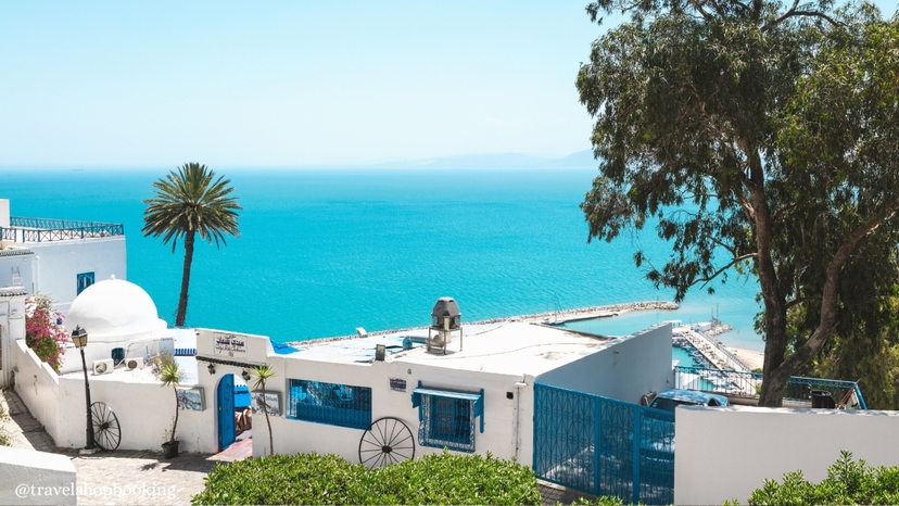 13 Days Turkey and Tunisia Total Solar Eclipse 2027 - Tunis Carthage Sidi Bou Said and El Jem 3