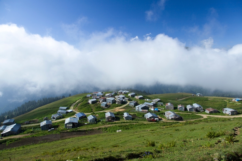 7-Day Black Sea Tea & Table: A Nature and Culinary Journey 4