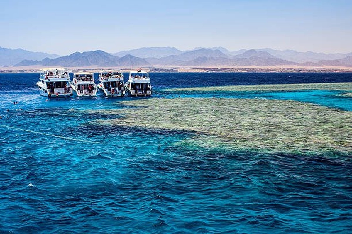 13 Day Marsa Alam Red Sea Reefs, Luxor & 5-Star Nile Cruise 1