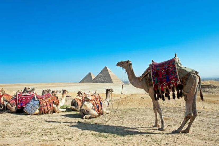 Half-Day Giza Pyramids & Sphinx Private Tour with Egyptologist Guide 2