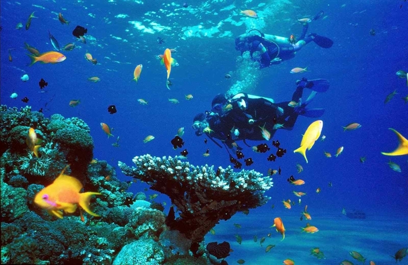 Full-Day Red Sea Scuba Diving Boat Experience in Hurghada with Lunch 3