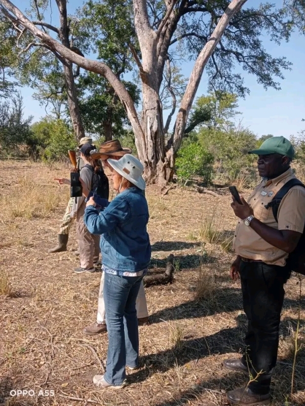 Mosi-oa-Tunya National Park Game Drive & White Rhino Walk from Livingstone 3