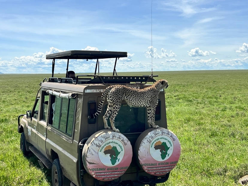3 Day Budget Camping Safari: Tarangire, Ngorongoro & Lake Manyara 4