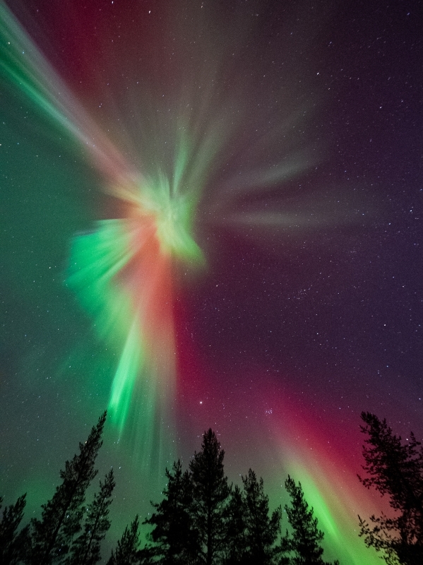 Rovaniemi Aurora Chase: Small-Group Night Tour with Photos 1