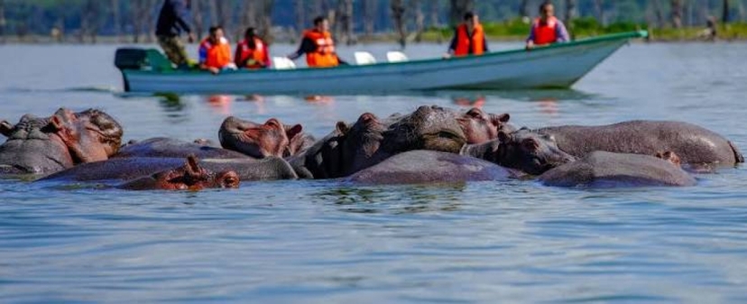 2 Days Lake Nakuru & Lake Naivasha Excursions 3