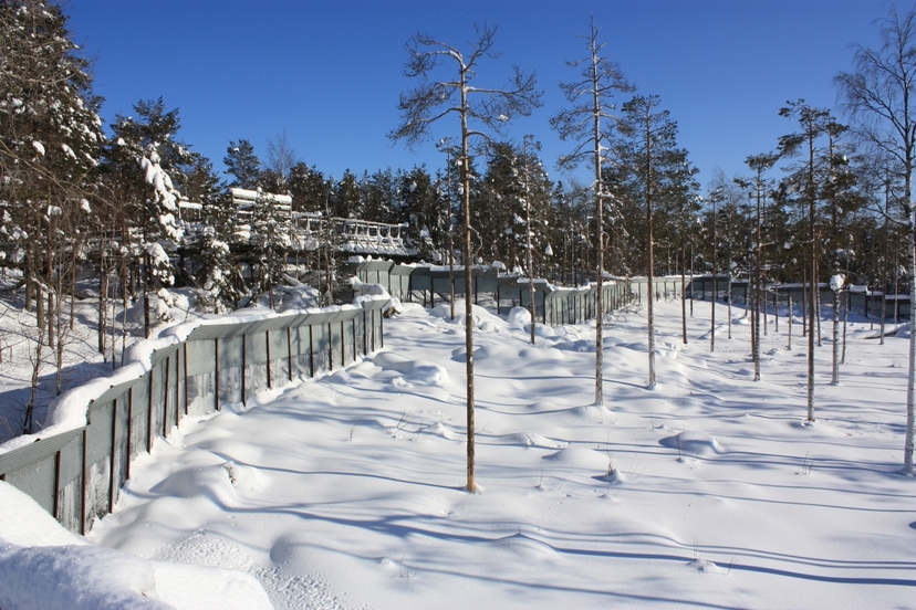 Ranua Wildlife Park Day Trip from Rovaniemi with Buffet Lunch 2