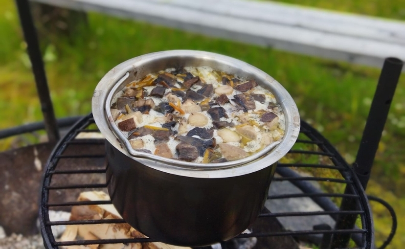 Lappish Forest Foraging & Open-Fire Mushroom Soup near Rovaniemi 4